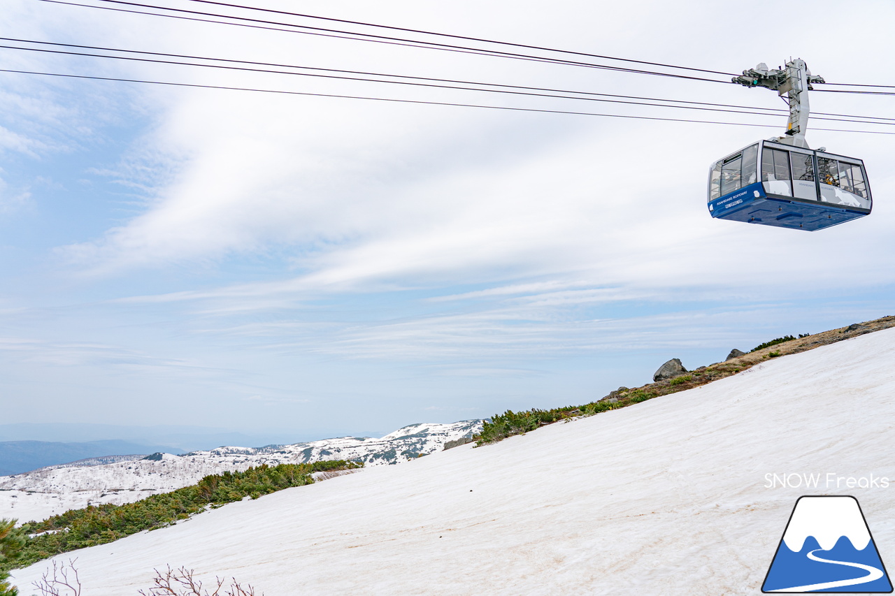 大雪山旭岳ロープウェイ｜2022-2023シーズンSNOWFreaks最終レポート。滑り納めは、北海道最高峰「旭岳」。皆様、今シーズンもありがとうございました！